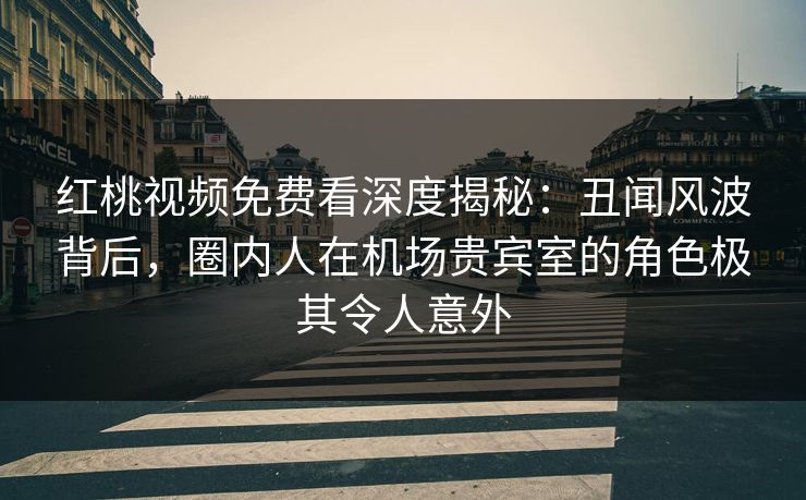 红桃视频免费看深度揭秘：丑闻风波背后，圈内人在机场贵宾室的角色极其令人意外